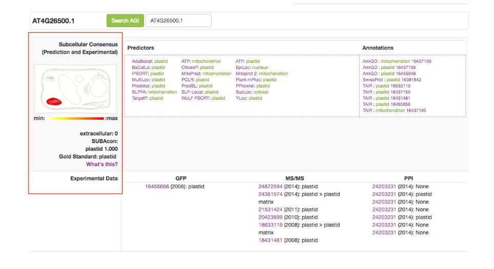 Factsheet Localisation